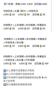 奔驰宝马奥迪举牌定制视频价格表-派大星资源网