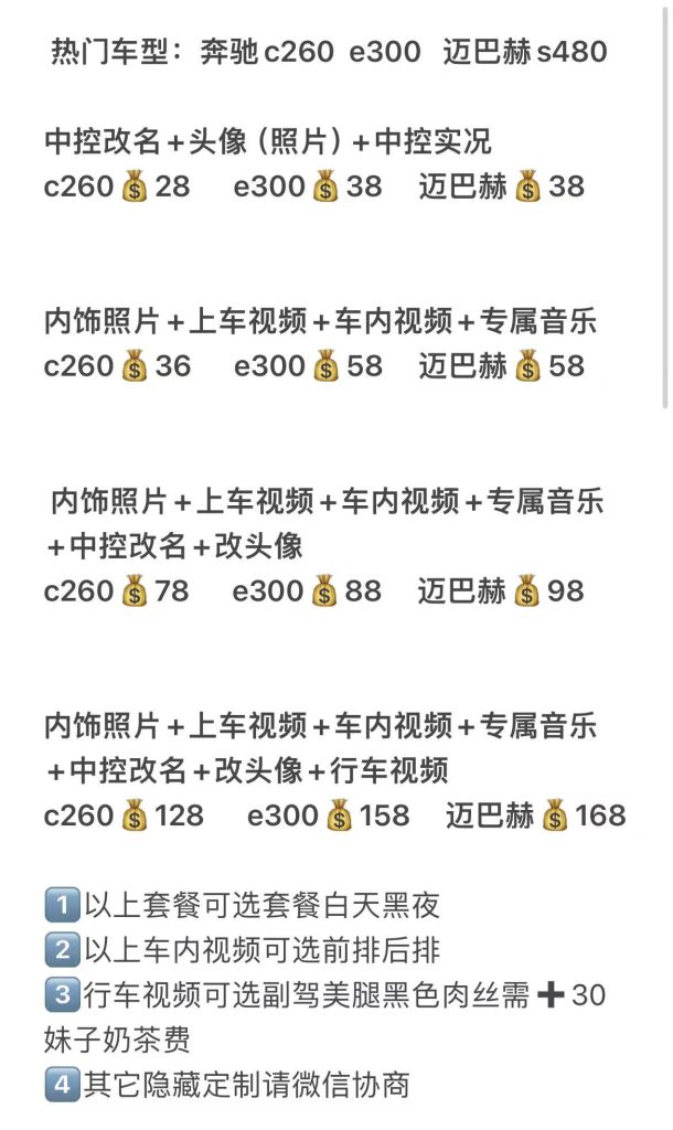 奔驰宝马奥迪举牌定制视频价格表-派大星资源网