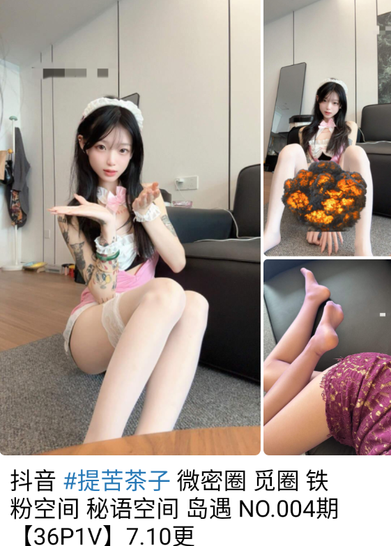 图片[8]-微密网红博主资源（百度网盘群QQ群论坛更新）-派大星资源网