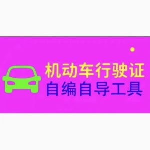 机动车驾驶证1：1模拟器-派大星资源网