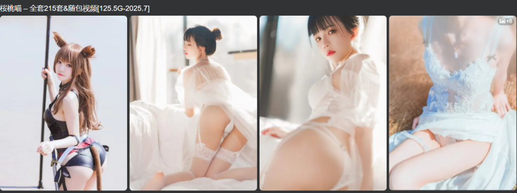 网红coser定制，共358位博主，6000G+资源。-派大星资源网
