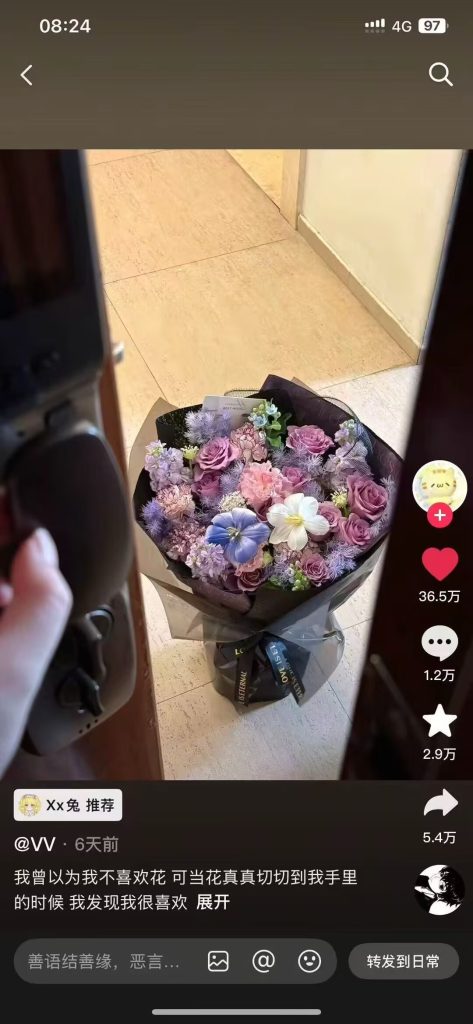 图片[7]-女生专属高质量素材-派大星资源网
