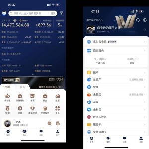 微信支付宝模拟器1:1真实界面-派大星资源网